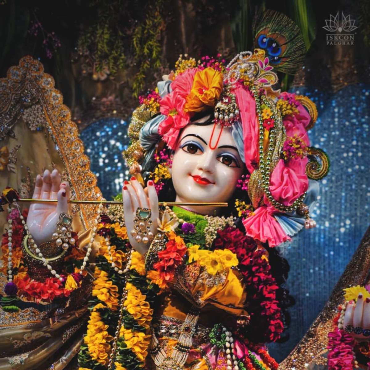 Festival darshan